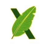 Xokotl