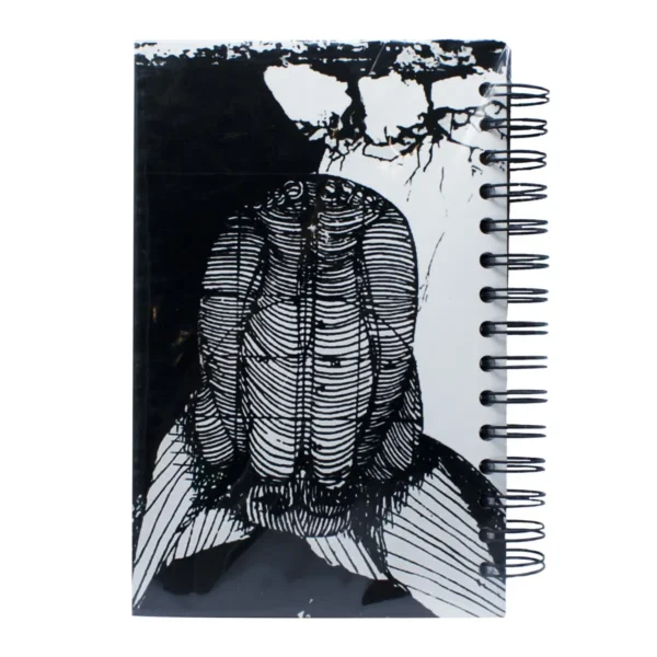 Libretas Aledra - Image 3